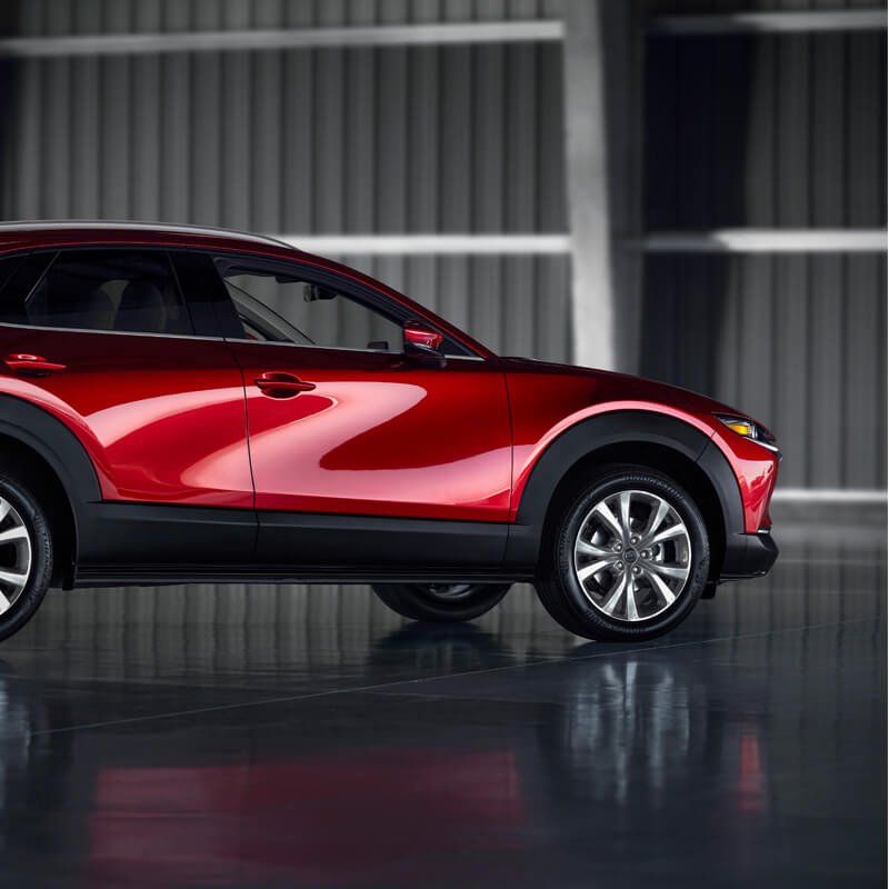 LA LUZ SE CONVIERTE EN ARTE